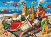 將圖片載入圖庫檢視器 cats on the beach preview by Create Love Share
